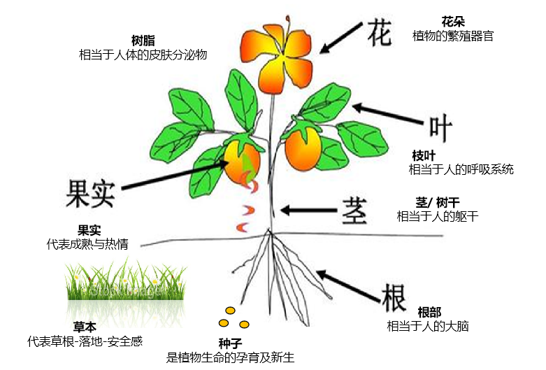 1687338142947279.png 1.png